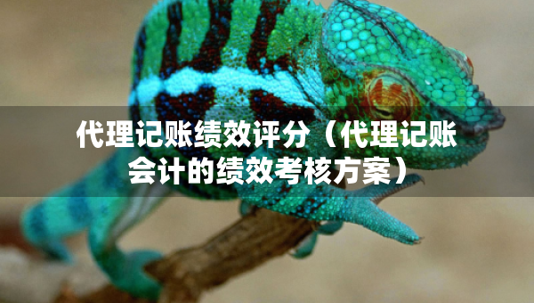 代理記賬績效評分（代理記賬會計的績效考核方案）