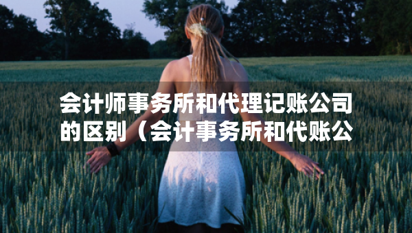 會(huì)計(jì)師事務(wù)所和代理記賬公司的區(qū)別（會(huì)計(jì)事務(wù)所和代賬公司有什么區(qū)別）