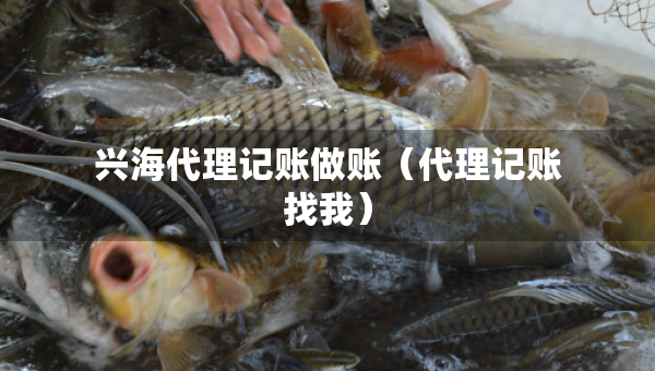 興海代理記賬做賬（代理記賬找我）