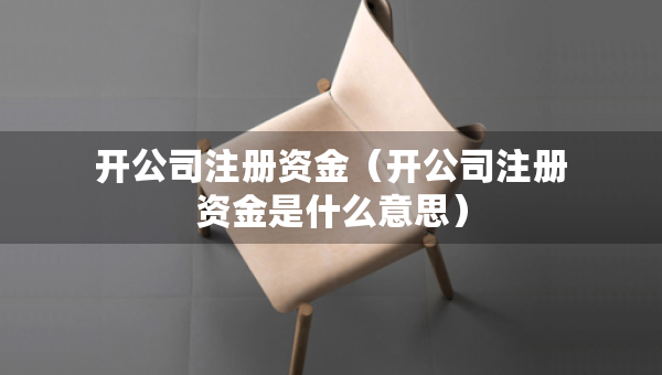 開公司注冊資金（開公司注冊資金是什么意思）