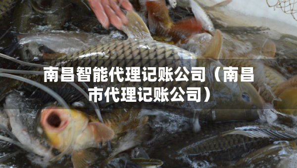 南昌智能代理記賬公司（南昌市代理記賬公司）