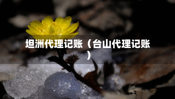 坦洲代理記賬（臺(tái)山代理記賬）