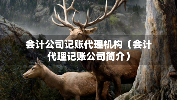 會計(jì)公司記賬代理機(jī)構(gòu)（會計(jì)代理記賬公司簡介）