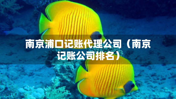 南京浦口記賬代理公司（南京記賬公司排名）