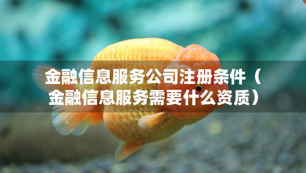 金融信息服務(wù)公司注冊條件（金融信息服務(wù)需要什么資質(zhì)）