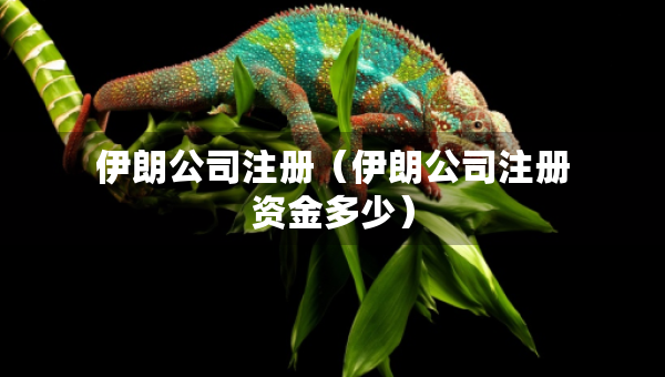 伊朗公司注冊(cè)（伊朗公司注冊(cè)資金多少）