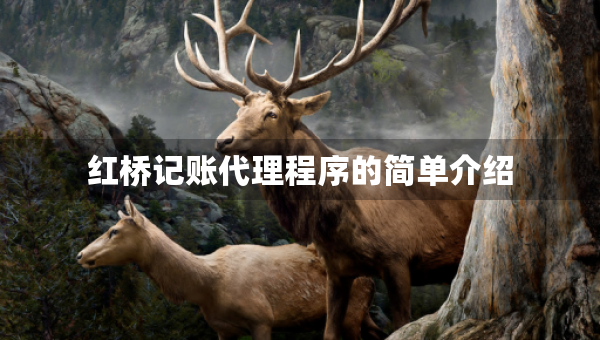 紅橋記賬代理程序的簡單介紹