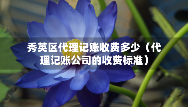 秀英區(qū)代理記賬收費(fèi)多少（代理記賬公司的收費(fèi)標(biāo)準(zhǔn)）
