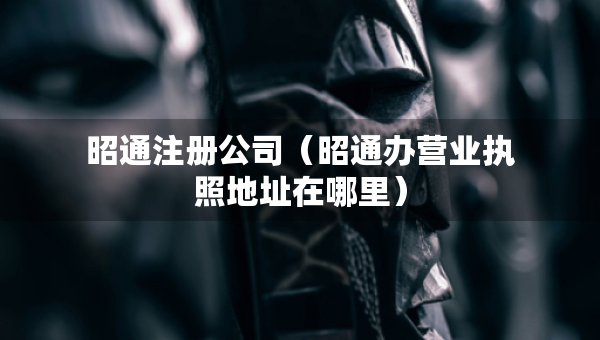 昭通注冊(cè)公司（昭通辦營業(yè)執(zhí)照地址在哪里）