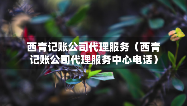 西青記賬公司代理服務(wù)（西青記賬公司代理服務(wù)中心電話）