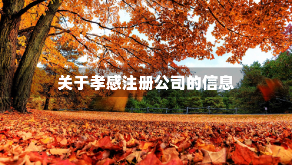 關(guān)于孝感注冊(cè)公司的信息