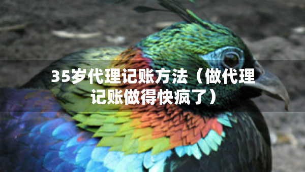 35歲代理記賬方法（做代理記賬做得快瘋了）