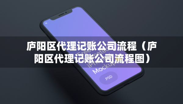 廬陽(yáng)區(qū)代理記賬公司流程（廬陽(yáng)區(qū)代理記賬公司流程圖）