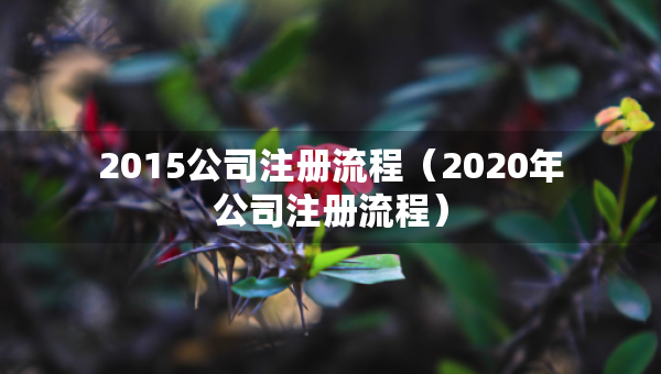 2015公司注冊(cè)流程（2020年公司注冊(cè)流程）