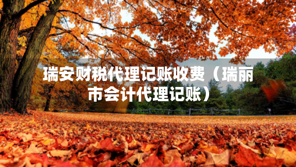 瑞安財(cái)稅代理記賬收費(fèi)（瑞麗市會計(jì)代理記賬）