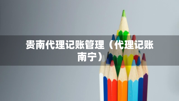 貴南代理記賬管理（代理記賬南寧）