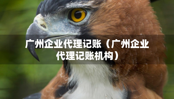 廣州企業(yè)代理記賬(廣州企業(yè)代理記賬機構) 廣州企業(yè)代理記賬(廣州企業(yè)代理記賬機構)