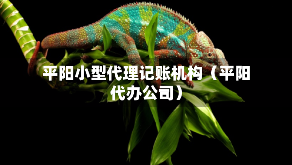 平陽(yáng)小型代理記賬機(jī)構(gòu)(平陽(yáng)代辦公司) 平陽(yáng)小型代理記賬機(jī)構(gòu)(平陽(yáng)代辦公司)