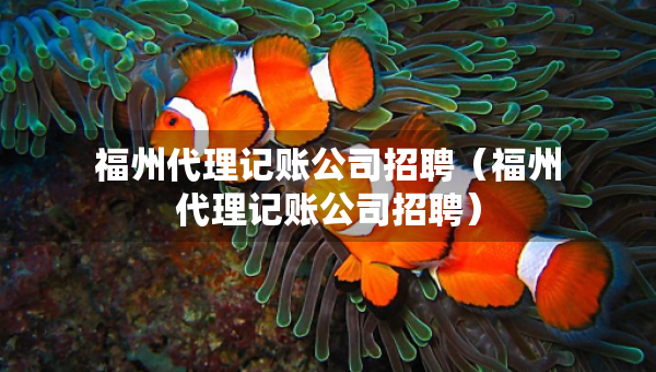 福州代理記賬公司招聘（福州代理記賬公司招聘）