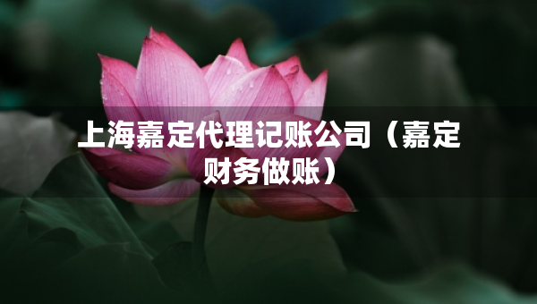 上海嘉定代理記賬公司（嘉定財務做賬）