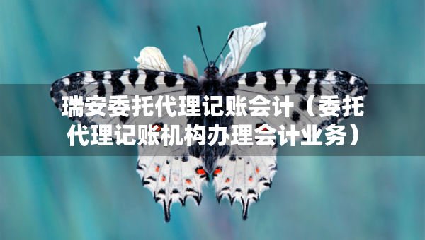 瑞安委托代理記賬會計（委托代理記賬機構辦理會計業(yè)務）