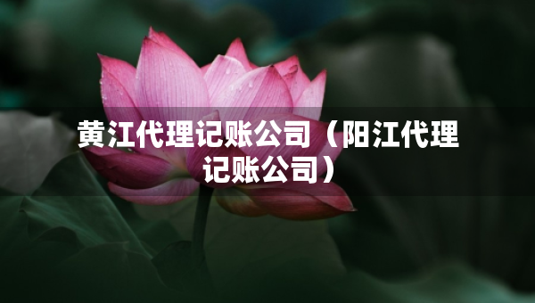 黃江代理記賬公司（陽(yáng)江代理記賬公司）