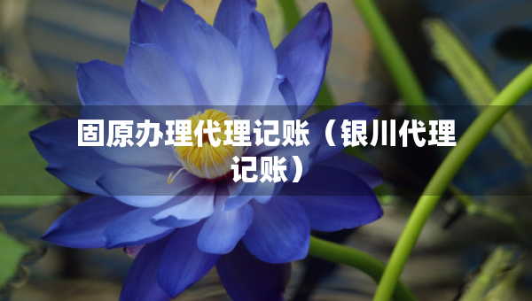 固原辦理代理記賬（銀川代理記賬）