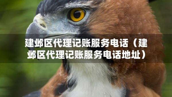 建鄴區(qū)代理記賬服務(wù)電話（建鄴區(qū)代理記賬服務(wù)電話地址）
