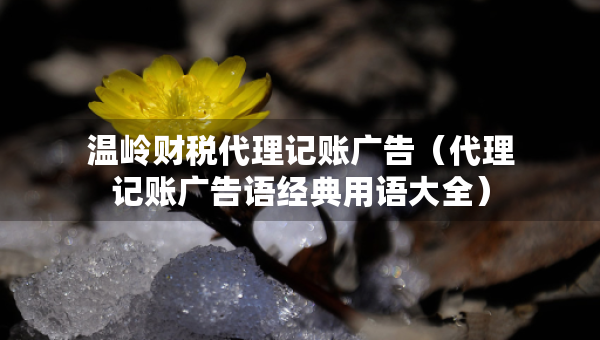 溫嶺財(cái)稅代理記賬廣告（代理記賬廣告語經(jīng)典用語大全）