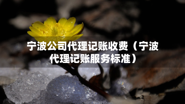 寧波公司代理記賬收費(fèi)（寧波代理記賬服務(wù)標(biāo)準(zhǔn)）