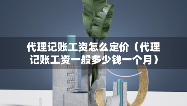 代理記賬工資怎么定價（代理記賬工資一般多少錢一個月）