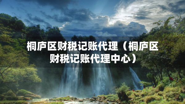 桐廬區(qū)財稅記賬代理（桐廬區(qū)財稅記賬代理中心）