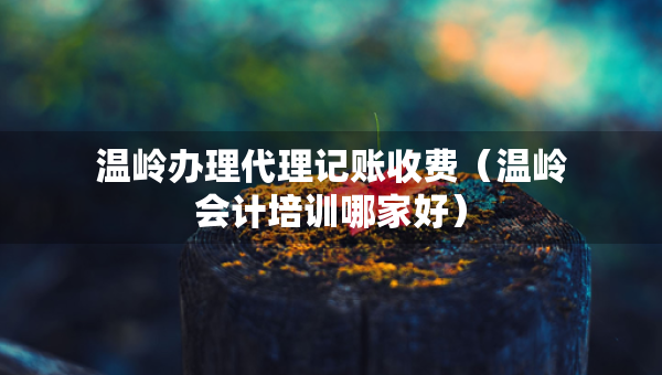 溫嶺辦理代理記賬收費(fèi)（溫嶺會計培訓(xùn)哪家好）