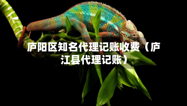 廬陽(yáng)區(qū)知名代理記賬收費(fèi)（廬江縣代理記賬）