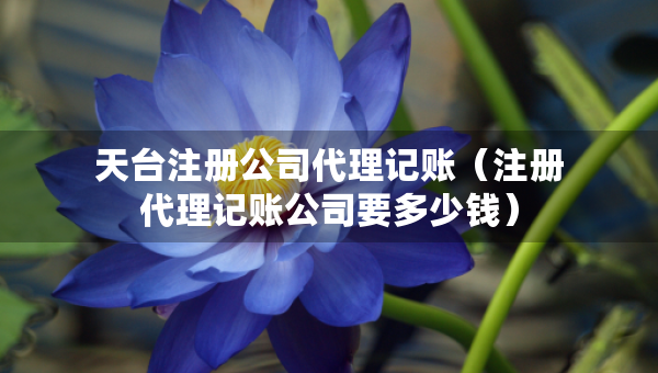 天臺注冊公司代理記賬（注冊代理記賬公司要多少錢）