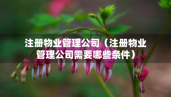 注冊物業(yè)管理公司（注冊物業(yè)管理公司需要哪些條件）
