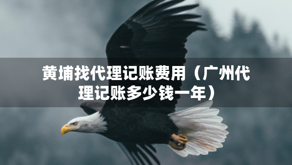 黃埔找代理記賬費用（廣州代理記賬多少錢一年）