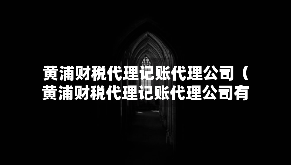 黃浦財稅代理記賬代理公司（黃浦財稅代理記賬代理公司有哪些）