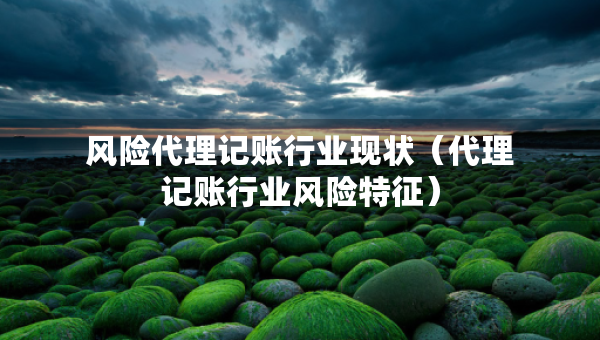 風(fēng)險(xiǎn)代理記賬行業(yè)現(xiàn)狀（代理記賬行業(yè)風(fēng)險(xiǎn)特征）