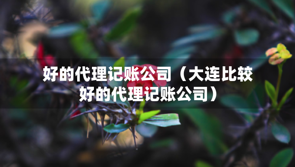 好的代理記賬公司（大連比較好的代理記賬公司）
