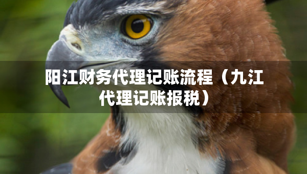 陽(yáng)江財(cái)務(wù)代理記賬流程（九江代理記賬報(bào)稅）