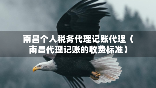 南昌個人稅務(wù)代理記賬代理（南昌代理記賬的收費(fèi)標(biāo)準(zhǔn)）