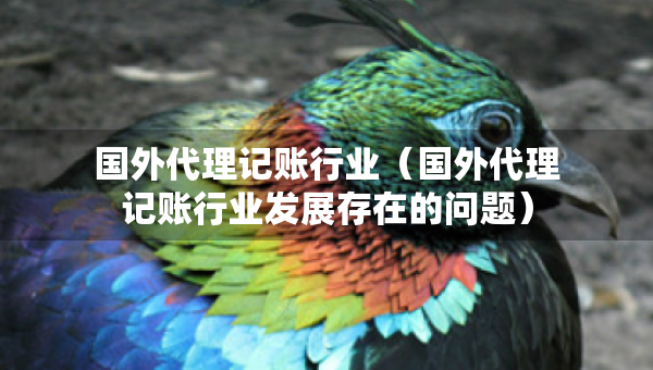 國外代理記賬行業(yè)（國外代理記賬行業(yè)發(fā)展存在的問題）