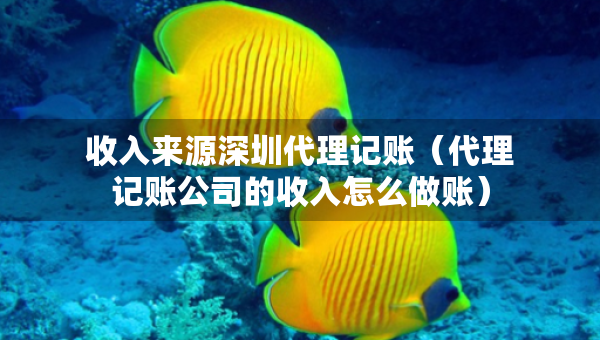 收入來源深圳代理記賬（代理記賬公司的收入怎么做賬）
