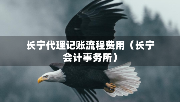 長寧代理記賬流程費(fèi)用（長寧會(huì)計(jì)事務(wù)所）