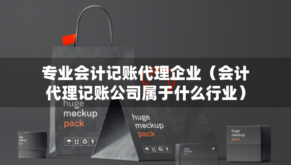 專(zhuān)業(yè)會(huì)計(jì)記賬代理企業(yè)（會(huì)計(jì)代理記賬公司屬于什么行業(yè)）
