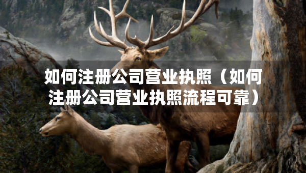 如何注冊(cè)公司營(yíng)業(yè)執(zhí)照（如何注冊(cè)公司營(yíng)業(yè)執(zhí)照流程可靠）