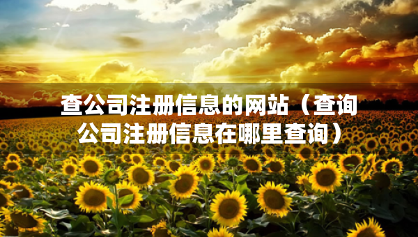 查公司注冊(cè)信息的網(wǎng)站（查詢公司注冊(cè)信息在哪里查詢）