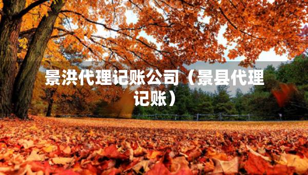 景洪代理記賬公司（景縣代理記賬）