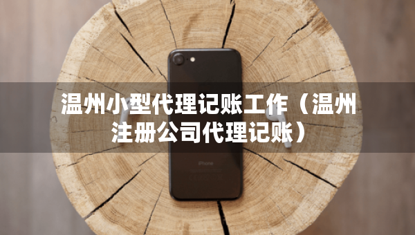 溫州小型代理記賬工作（溫州注冊(cè)公司代理記賬）